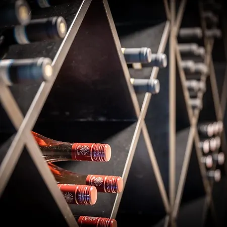 The Art And Apartment