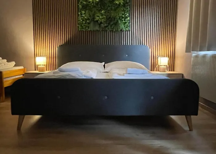 The Art And Apartment