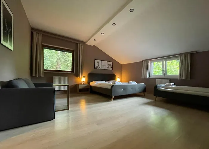 The Art And Apartament